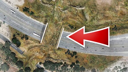 Das ist kein Scherz: Kalifornien baut eine 100 Millionen Dollar teure Brücke für Berglöwen, Hirsche und Schlangen