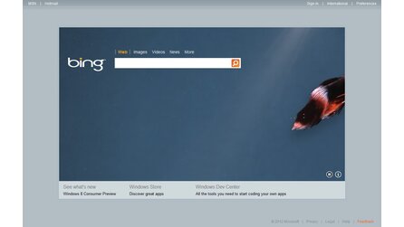 Bing knabbert an Google - In den USA fast ein Drittel Marktanteil