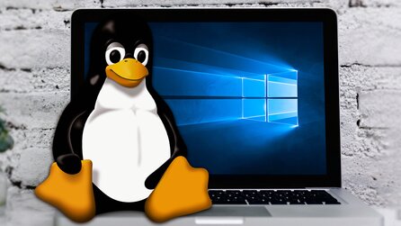 Teaserbild für Wegen Windows Recall: Zwei Drittel von euch überlegen, auf Linux oder macOS zu wechseln