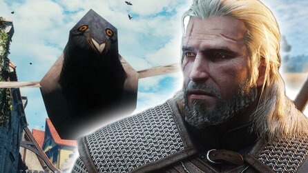 Witcher 3: Ihr könnt aufatmen, die Tauben sehen im Remaster immer noch grässlich, aber liebenswert aus