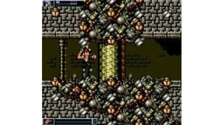 Wolfchild Game Gear
