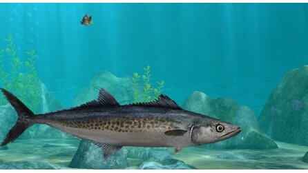 World of Fishing - Screenshots