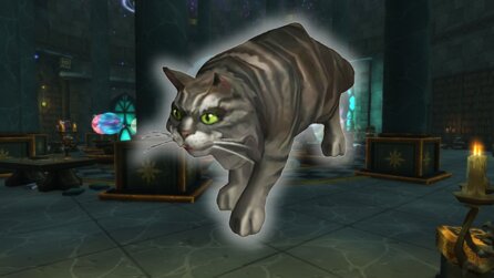 WoW: Rätsel um mysteriöse Katze Jenafur endlich gelöst