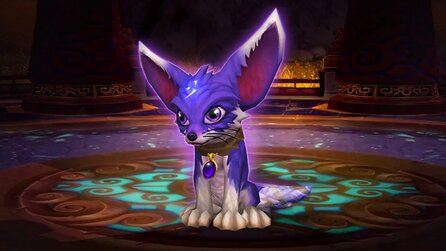 World of Warcraft - Erlöse aus neuem Pet sollen Hurrikan-Opfer unterstützen