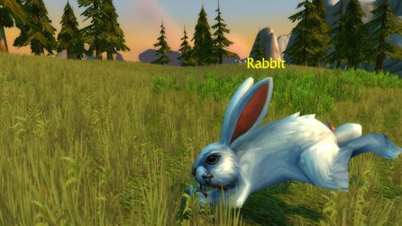 WoW - Unsichtbare Killer-Karnickel haben Tausende Spieler getötet