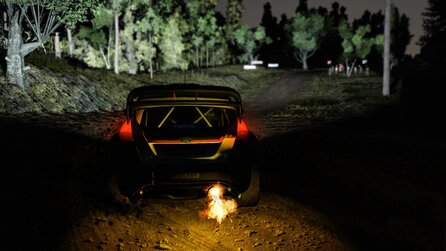 WRC 5 - Screenshots