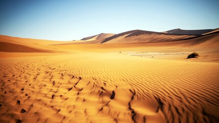 Sie importieren jedes Jahr Millionen Tonnen Sand – obwohl Saudi-Arabien und die Vereinigten Arabischen Emirate inmitten riesiger Wüsten liegen