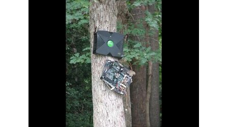 Kurioses - Xbox an Baum genagelt