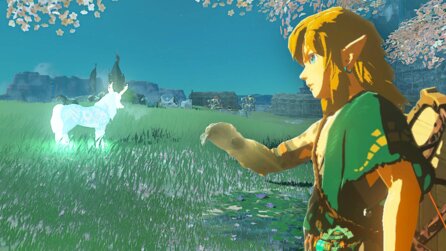 Zelda-Fan arbeitet extra bei Paketdienst, um Tears of the Kingdom zu klauen, doch seine Mutter verrät ihn