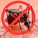 Das beste Mittel gegen Mücken, das wirklich hilft!