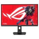 Schnappt euch den Gaming-Monitor von ASUS zum Tiefstpreis