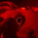 Jetzt Clayface fürs Heimkino sichern