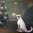 Mechas mit offener Welt macht nur Koop noch besser!