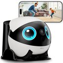 Das ist der neue beste Freund meines Katers