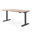 Der Desktopia Pro X bei Ergotopia