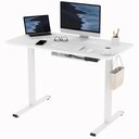 FLEXISPOT Basic Plus Elektrisch Höhenverstellbarer Schreibtisch