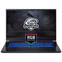 One Gaming Laptop