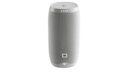 JBL Link 10