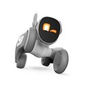 Werdet KI-Pioniere mit Petbot Loona!