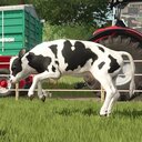 Pflügt eure Felder, egal wo ihr seid!