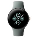 Pixel Watch 2