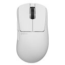 Diese Maus ist neu und direkt ein Geheimtipp