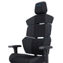 RECARO Nxt