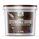 Genialer Haushaltstrick: Ein Eimer Salz neben der Toilette