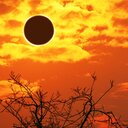 Schaut euch die Sonnenfinsternis mit diesen Brillen sicher an!