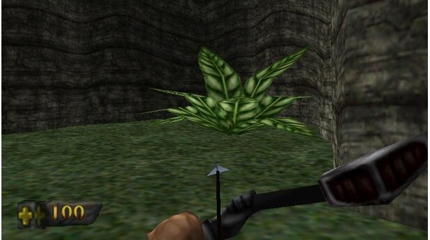 Turok Vegetation 001