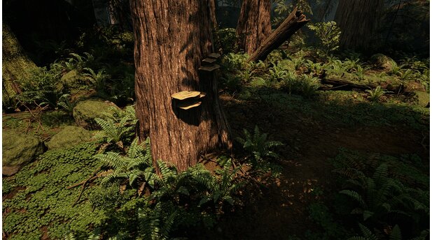Unreal Engine 4 - Screenshots aus der Wald-Demo