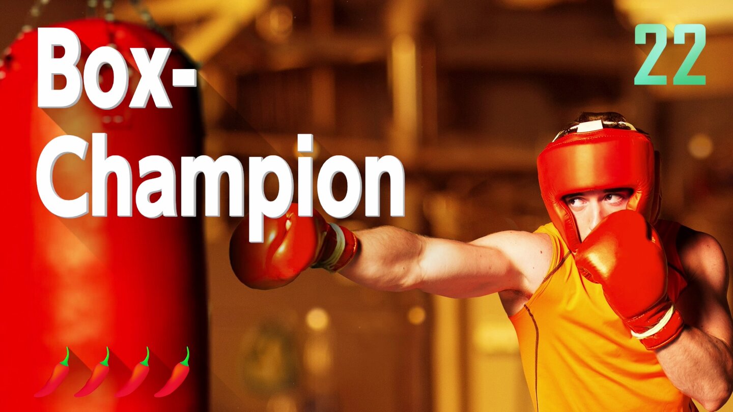 1-2 SwitchBox-Champion