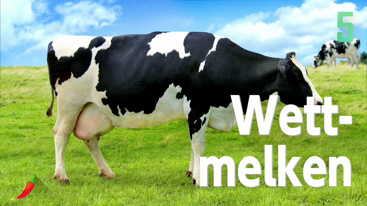1-2 SwitchWettmelken