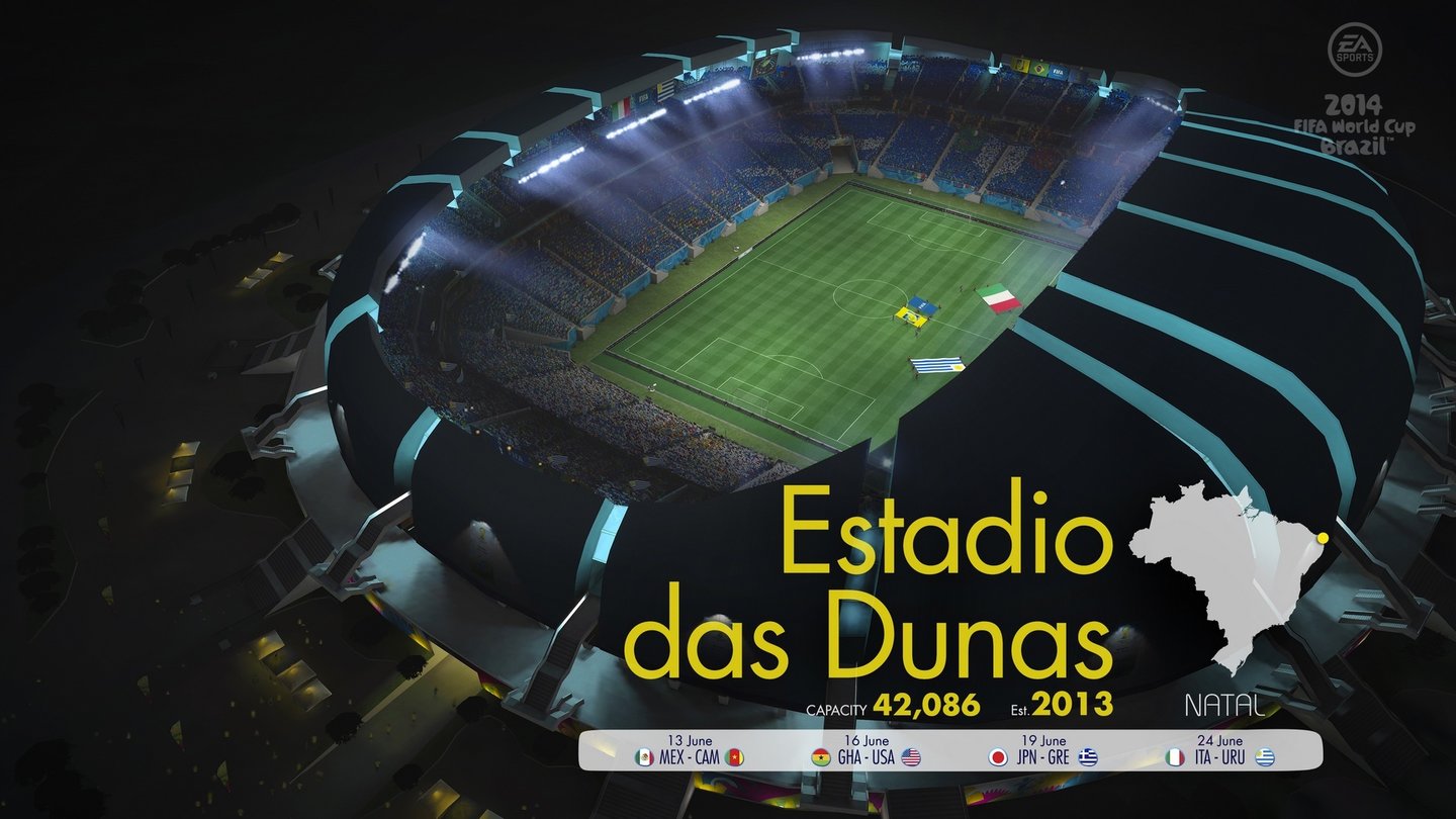 FIFA Fussball-WM Brasilien 2014 