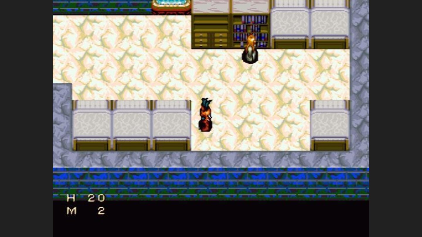 This is one of the few SNES games where you cant go through beds ;)