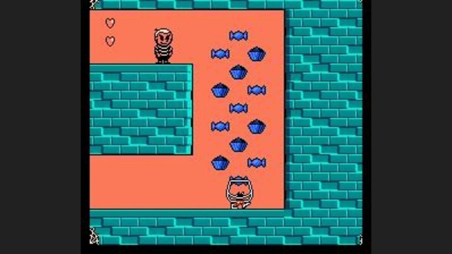 Lots of extra stuff!