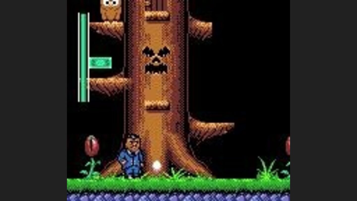 A big tree