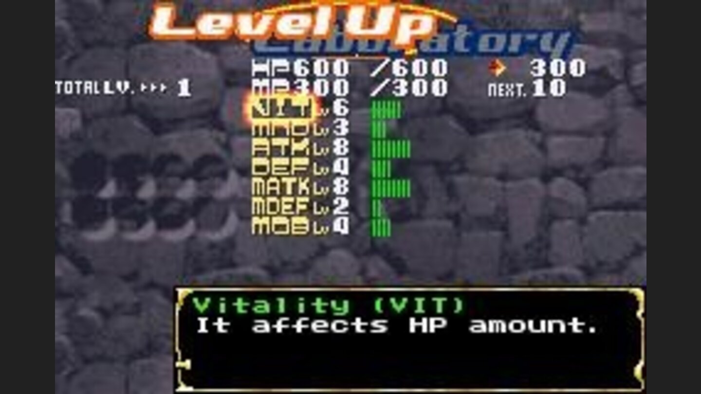 Level up and master your skills