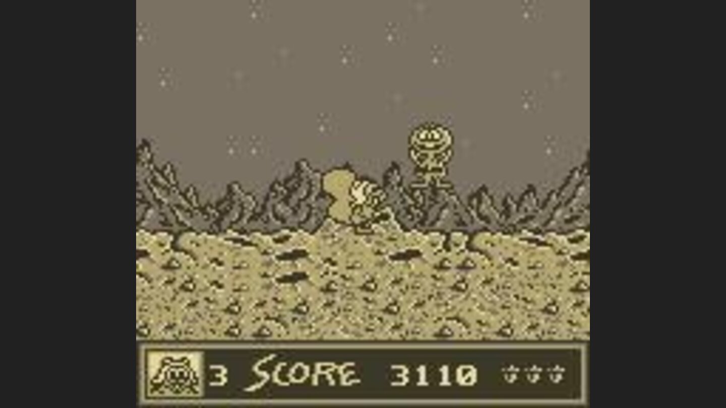 Rocky on the Moon