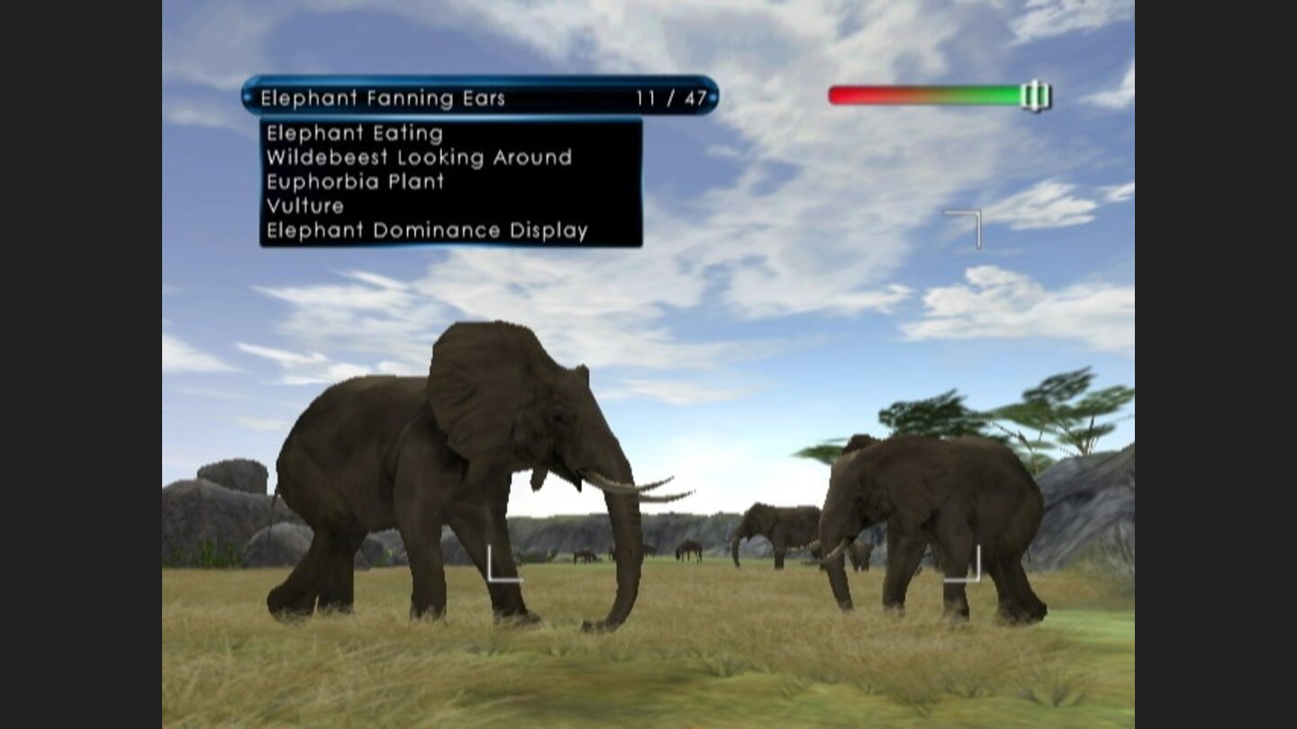 African Safari 1