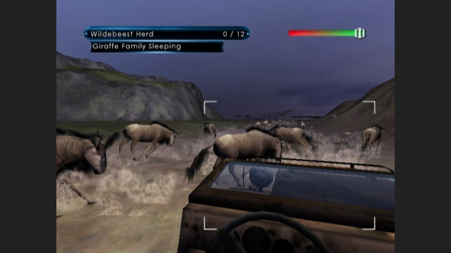 African Safari 2