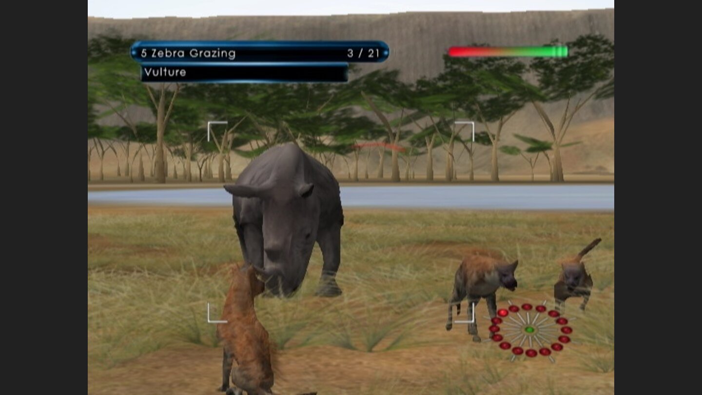 African Safari 4
