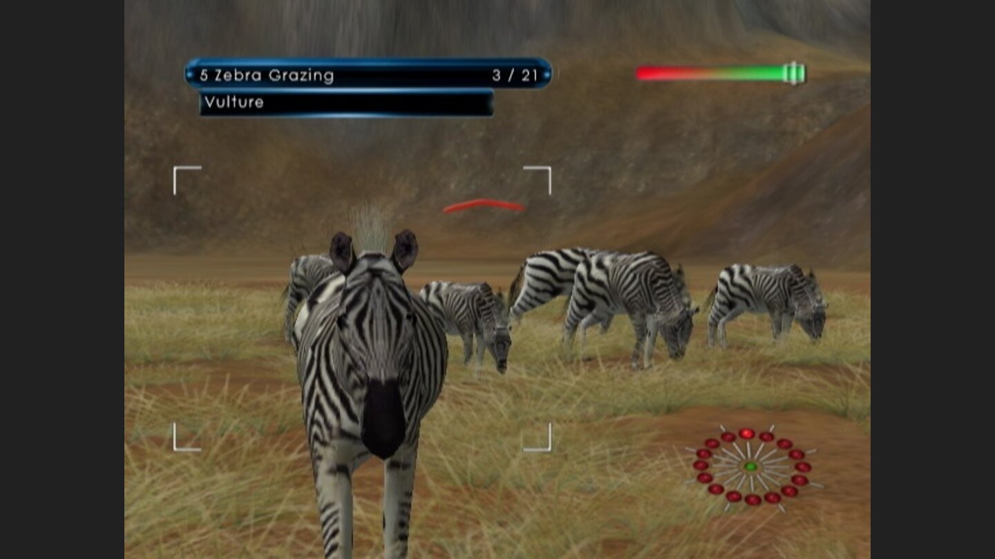 African Safari 5