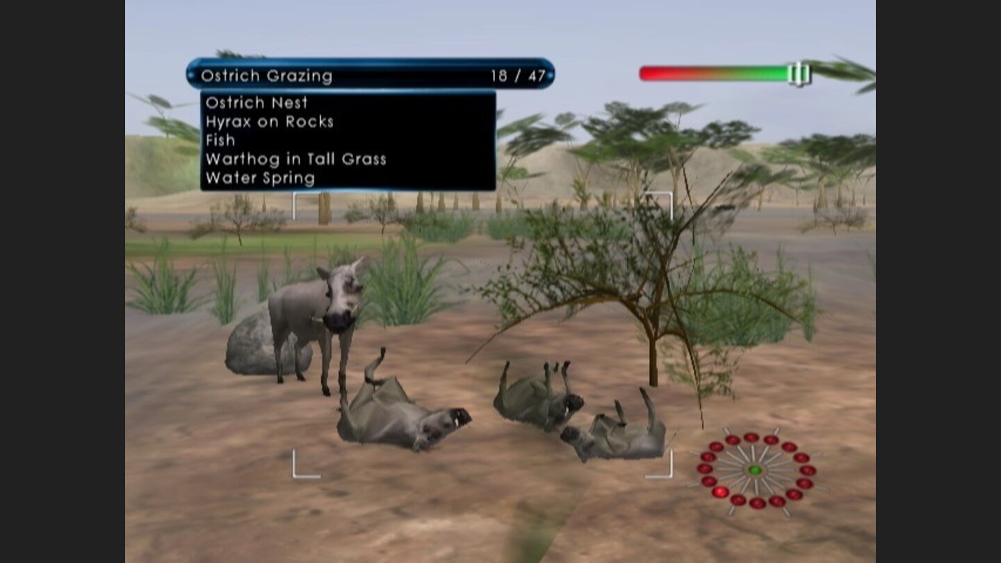 African Safari 7
