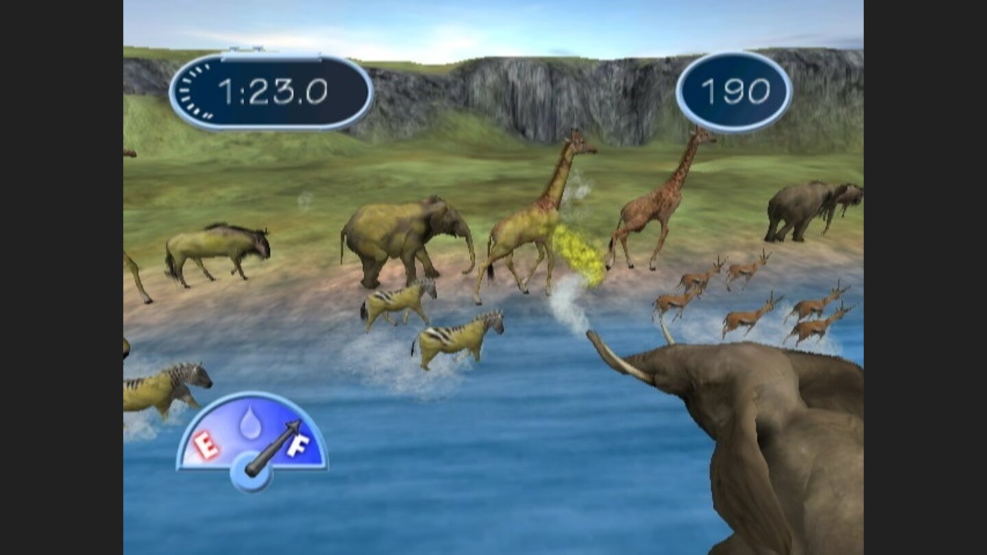 African Safari 8