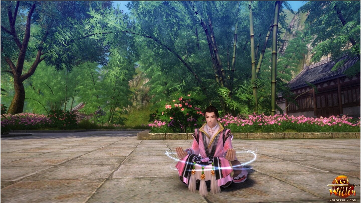 Age of Wulin