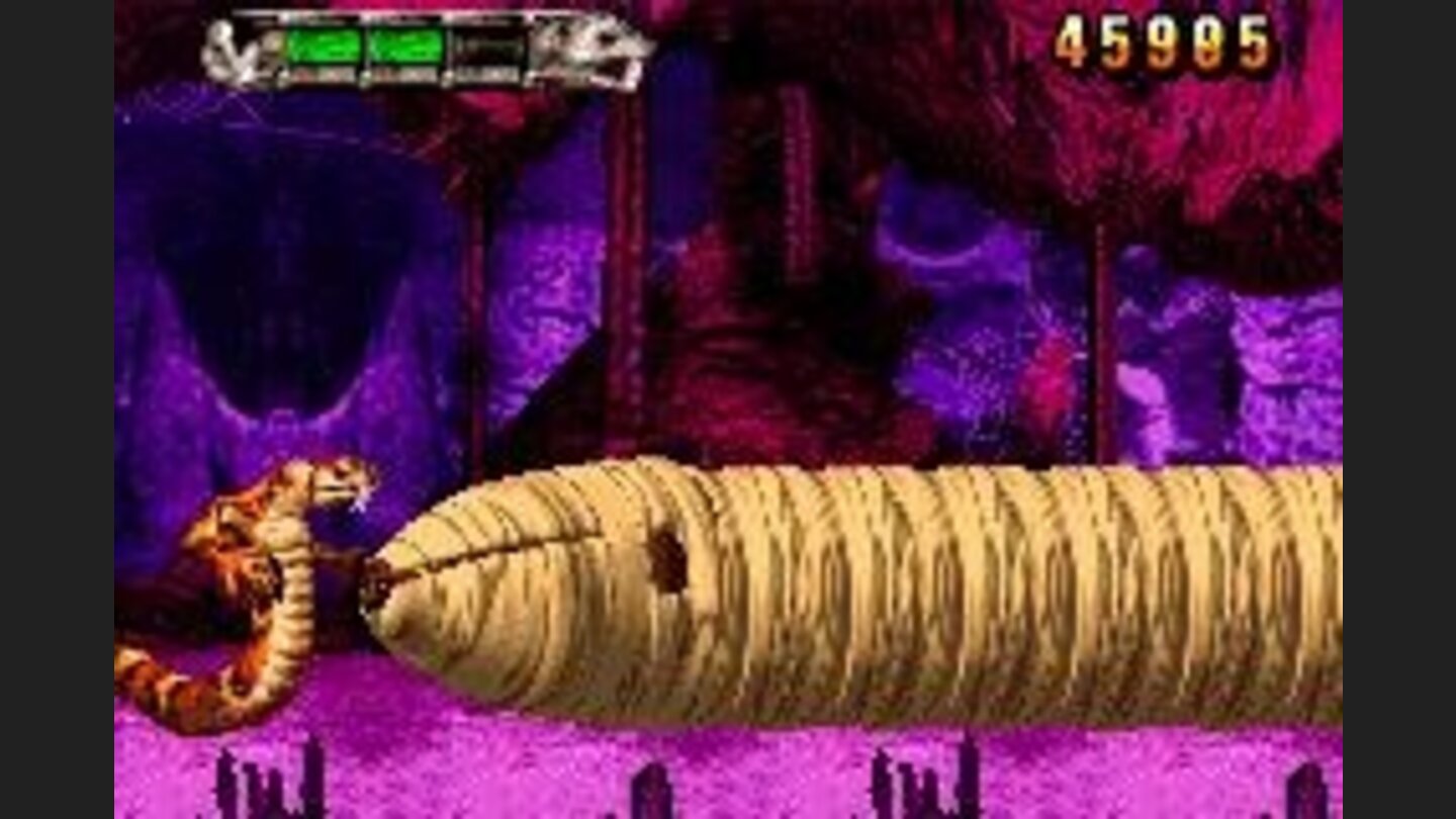 Fight a huge worm boss.