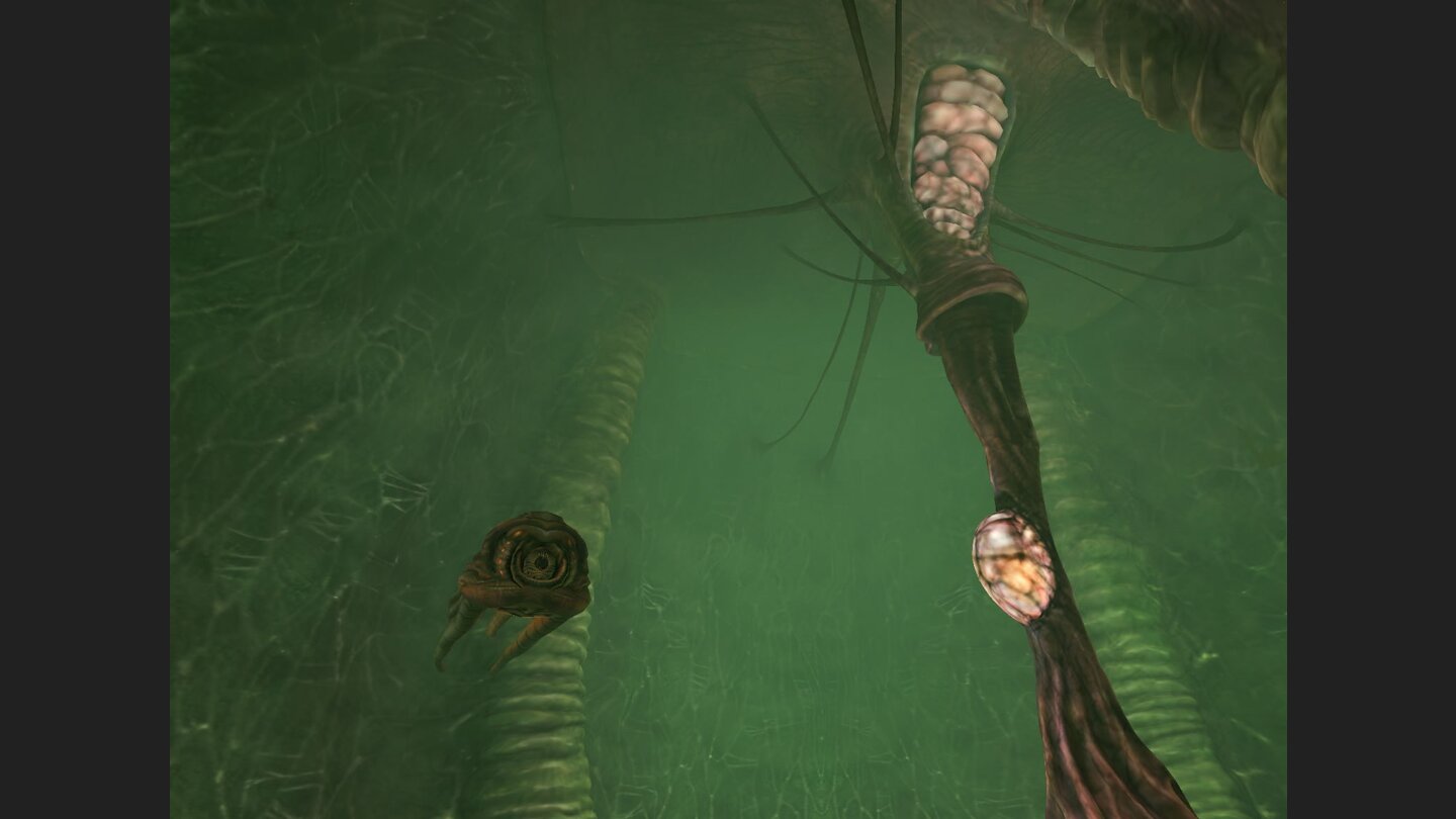 Anarchy Online Lost Eden 10