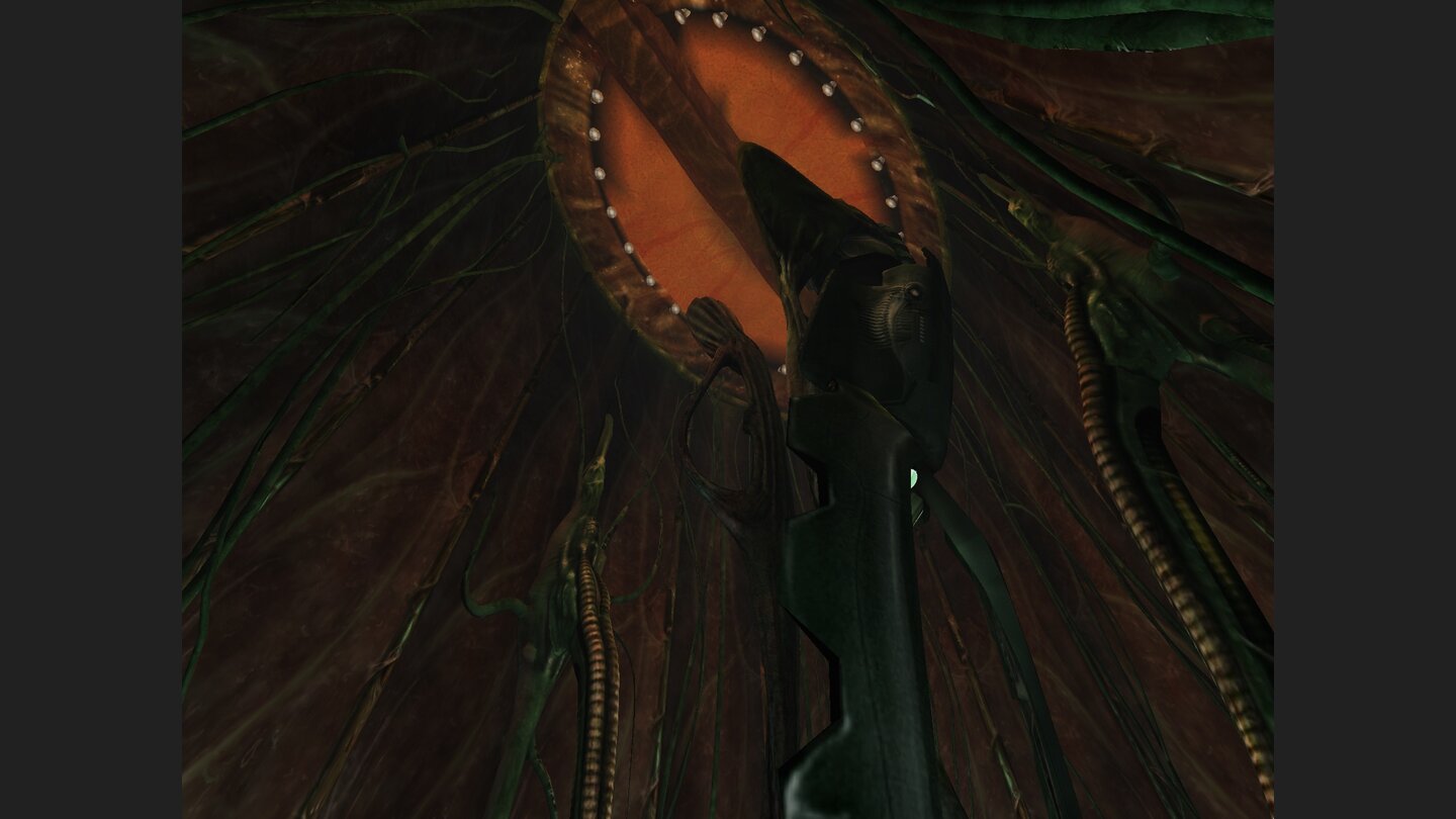 Anarchy Online Lost Eden 14