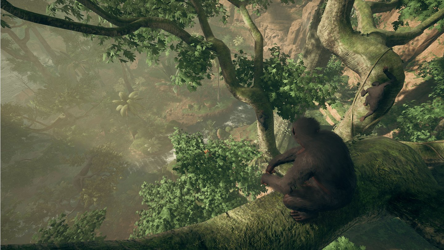 Ancestors: The Humankind OdysseyAls Affe gut klettern zu können ist ein großartiges Gefühl und weckt den Entdeckerdrang. Die Steuerung funktioniert gut, aber es ist manchmal schwer zu erkennen, was man greifen kann.